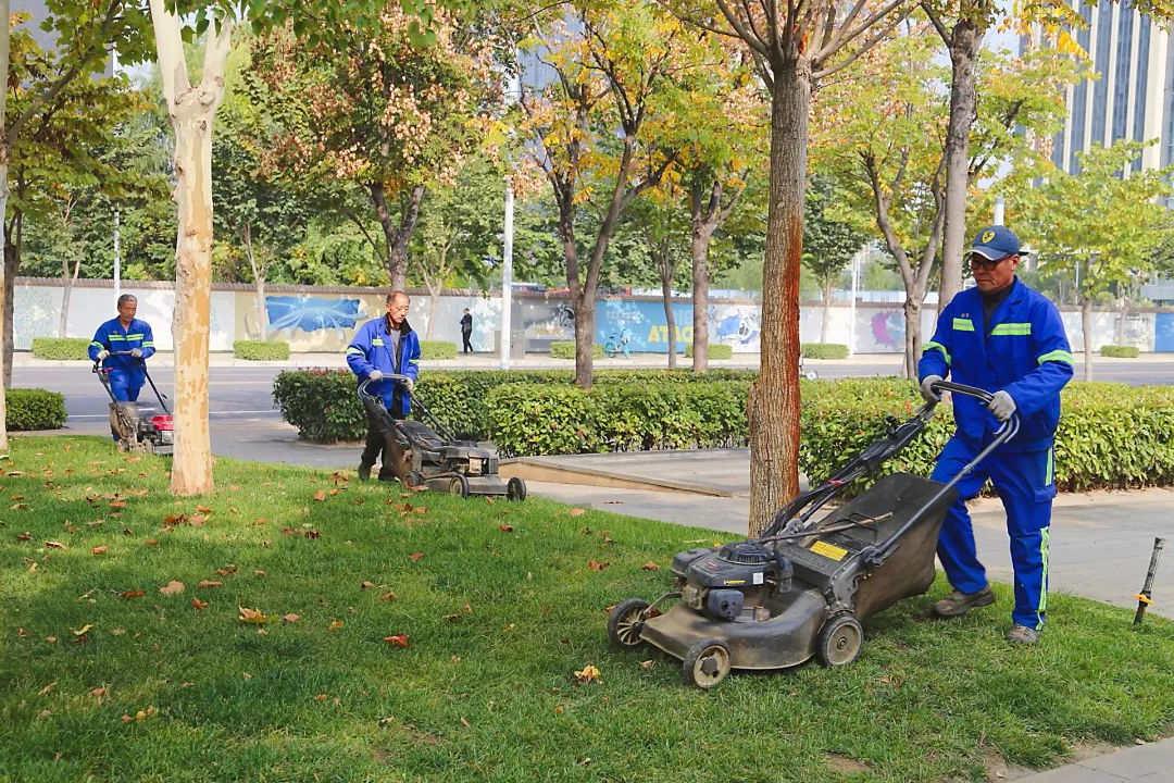 秋季园林绿化养护草坪修剪